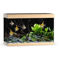 Akwarium Juwel Rio 290 LED jasne drewno (dąb)