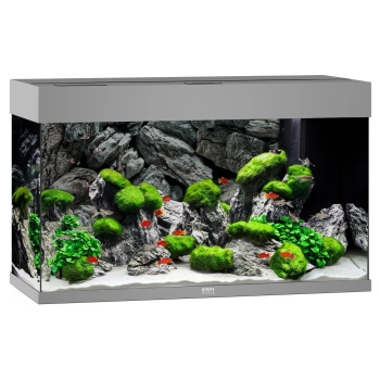 Akwarium Juwel Rio 125 szare HeliaLux Spectrum