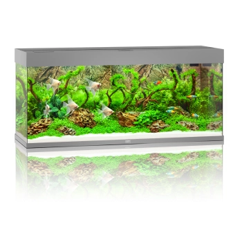 Juwel Rio 240 LED szare akwarium z szafką