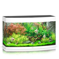 Akwarium Juwel Vision 180 LED białe