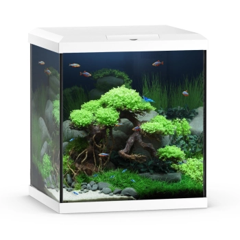 Akwarium Vio Cube 54 białe