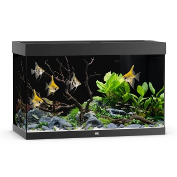 Juwel Rio 290 LED czarne (2x belka) akwarium z szafką