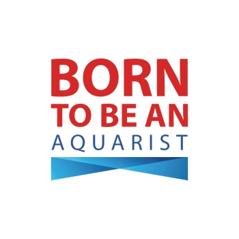 T-shirt dziecięcy BORN TO BE AN AQUARIST 122-128