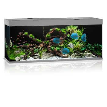 Akwarium Juwel Rio 450 LED szare (2x belka)