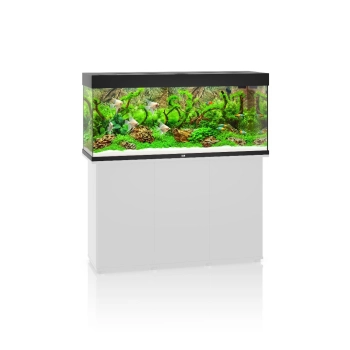 Akwarium Juwel Rio 240 LED czarne (2x belka)