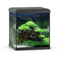 Akwarium Vio Cube 54 czarne