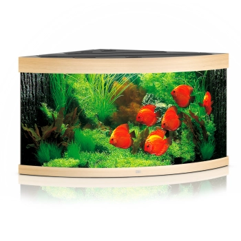 Akwarium Juwel Trigon 350 LED jasne drewno (dąb)