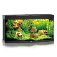 Akwarium Juwel Vision 260 LED czarne