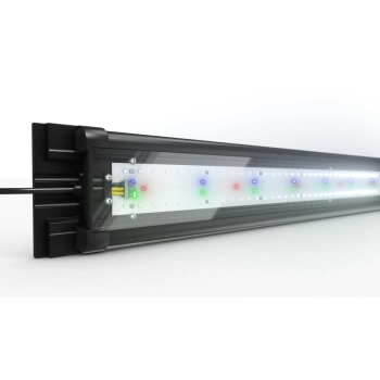 Akwarium Juwel Lido 200 jasne drewno (dąb) HeliaLux Spectrum (2x belka)