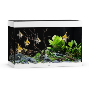 Akwarium Juwel Rio 290 LED białe