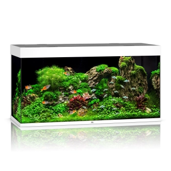 Juwel Rio 350 LED białe (2x belka) akwarium z szafką