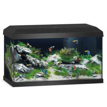 Akwarium Juwel Primo 60 LED 2.0 czarne