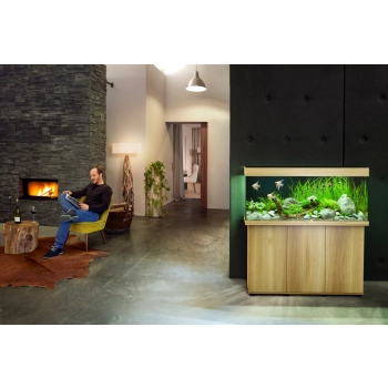 Juwel Rio 240 LED jasne drewno (dąb) akwarium z szafką