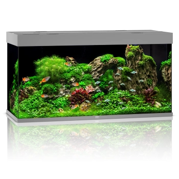 Akwarium Juwel Rio 350 LED szare (2x belka)