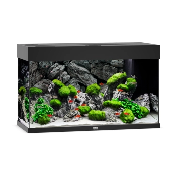 Akwarium Juwel Rio 125 LED czarne