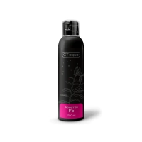 GT Aqua Booster Fe 200ml - nawóz żelazowy
