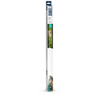Fototapeta Juwel Poster 1 XL