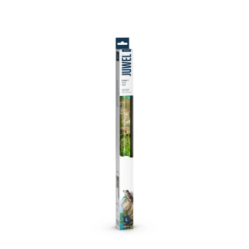 Fototapeta Juwel Poster 1 L