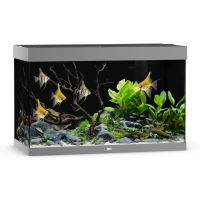 Akwarium Juwel Rio 290 szare HeliaLux Spectrum
