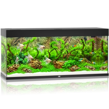 Juwel Rio 240 LED czarne akwarium z szafką