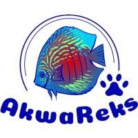 Ryby akwariowe na zamówienie