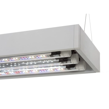 Aquael ULTRASCAPE 60 Snow - akwarium 65 l z oświetleniem
