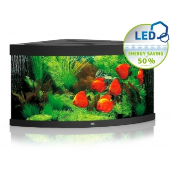 AKWARIUM TRIGON 350 LED
