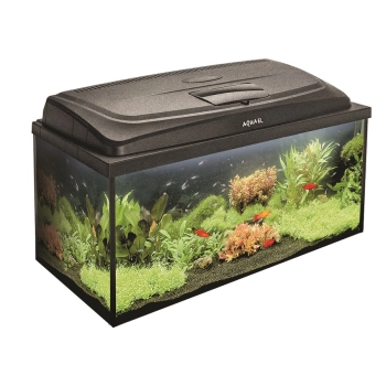 Akwarium Aquael AQUA4FAMILY 80 Proste – zestaw akwariowy 112 l