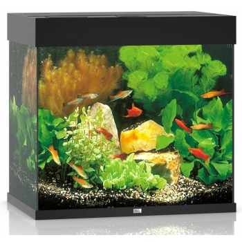Akwarium Juwel LIDO 120 LED - czarny