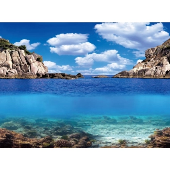 Aqua Nova Tło Dwustronne Do Akwarium Plants/Ocean L 100x50cm