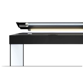 Akwarium Juwel Rio 240 LED - kolor czarny