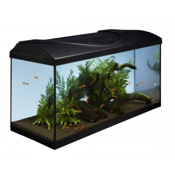 Diversa Zestaw akwariowy ARISTO 80x35x40 LED Startup