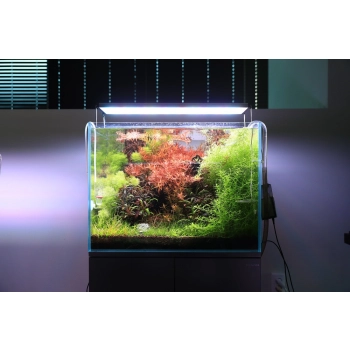 Twinstar E-line 31W - lampa Led 60-75cm