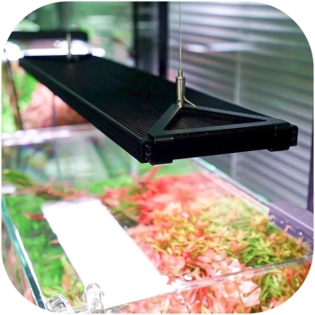 Lampa Chihiros WRGB II PRO 90-110 cm z bluetooth
