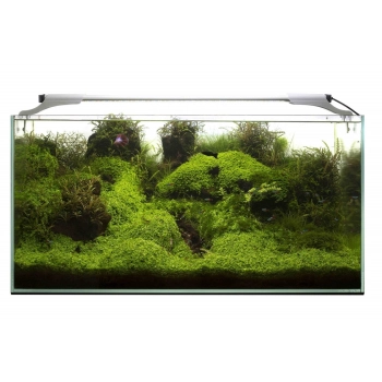 Aquael LEDDY SLIM - PLANT 36W 100-127 cm Czarna