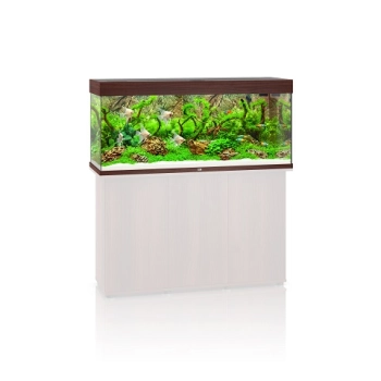 Akwarium Juwel Rio 240 LED - ciemne drewno