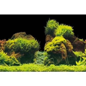 Aqua Nova Tło Dwustronne Do Akwarium Rock / Plants L 100x50cm
