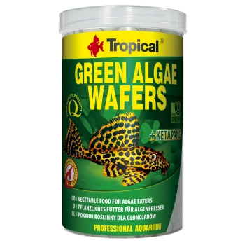 Pokarm Tropical Green algae waffers dla glonojadów i zbrojników