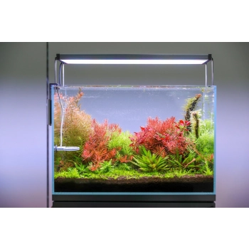 Twinstar E-line 31W - lampa Led 60-75cm