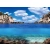 Aqua Nova Tło Dwustronne Do Akwarium Plants/Ocean L 100x50cm