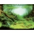 Aqua Nova Tło Dwustronne Do Akwarium Plants/Ocean L 100x50cm