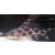 Giętkoząb ozdobny - Synodontis Decorus