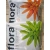 Podłoże Rotala Maflora Intense 10 L
