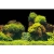 Aqua Nova Tło Dwustronne Do Akwarium Rock / Plants L 100x50cm