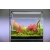 Twinstar E-line 31W - lampa Led 60-75cm